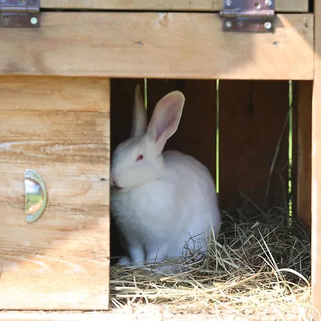 Holiday home Peaceful Nature Escape Among Farm Animals Joekula (Viljandi)