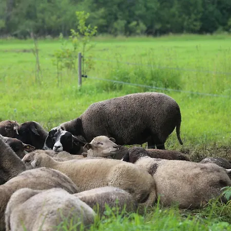 Holiday home Peaceful Nature Escape Among Farm Animals *