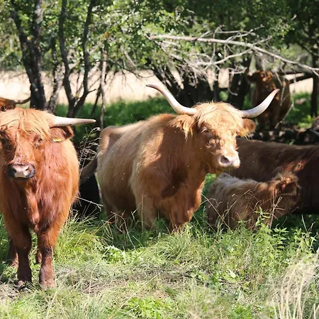 Holiday home Peaceful Nature Escape Among Farm Animals