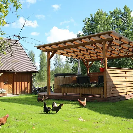 Peaceful Nature Escape Among Farm Animals