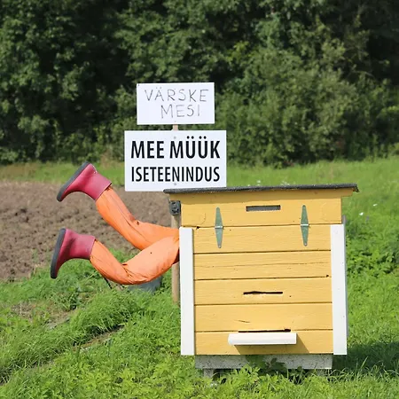 Peaceful Nature Escape Among Farm Animals *