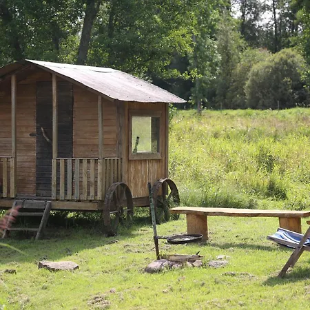 Peaceful Nature Escape Among Farm Animals *