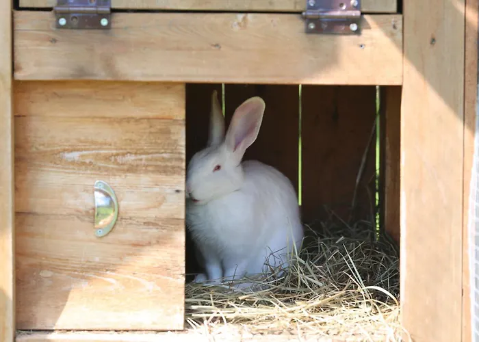 Holiday home Peaceful Nature Escape Among Farm Animals Joekula (Viljandi)