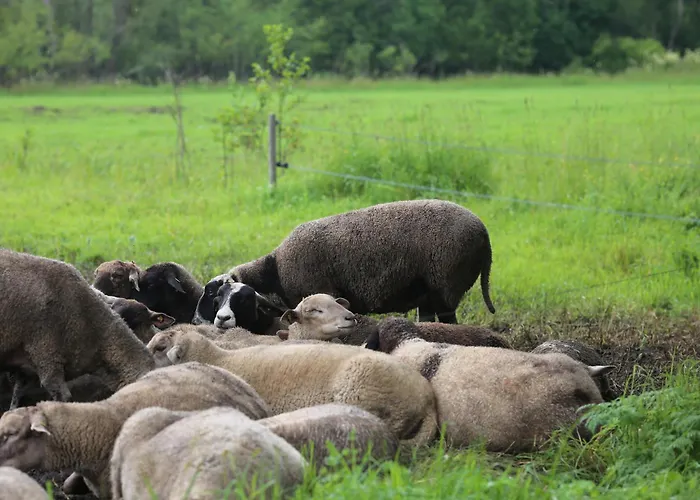 Holiday home Peaceful Nature Escape Among Farm Animals *