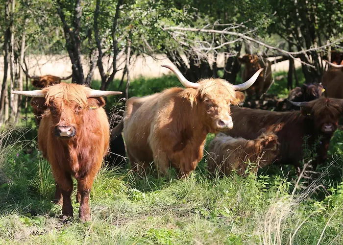 Holiday home Peaceful Nature Escape Among Farm Animals