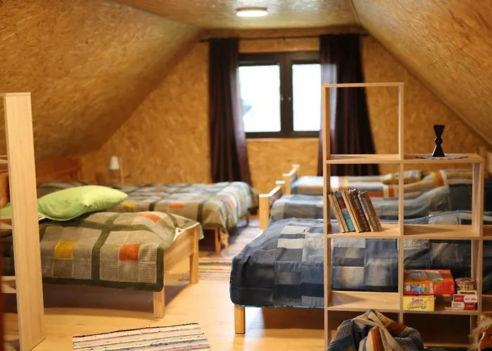 Peaceful Nature Escape Among Farm Animals Joekula (Viljandi)