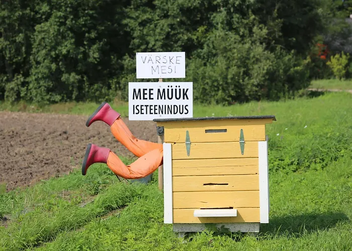 Peaceful Nature Escape Among Farm Animals *