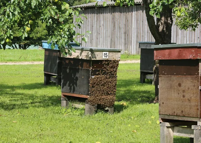 Peaceful Nature Escape Among Farm Animals Holiday home