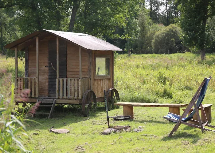 Peaceful Nature Escape Among Farm Animals *